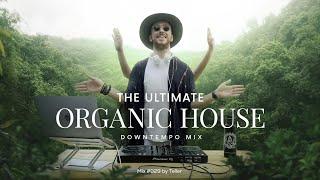  The Ultimate Organic House Downtempo Mix | 029 | Cafe de Anatolia style