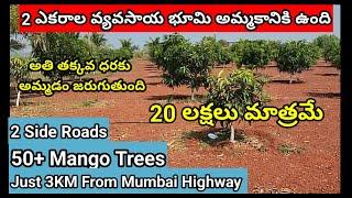 2 Acer Agriculture Land For Sale in Karnataka | Near Mumbai Highway Humnabad