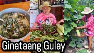 Ginataang Gulay Fresh from the Farm.