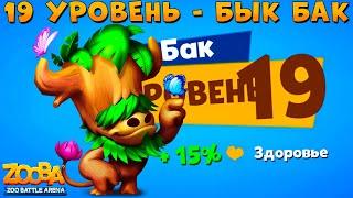 КАЧАЕМ 19 УРОВЕНЬ!!! ПЕНЁК БЫК БАК В ИГРЕ ZOOBA