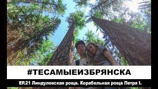 ЭПИЗОД 21. Линдуловская роща. Корабельный лес Петр I.