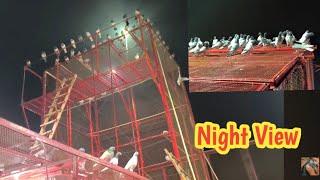 Chat Ka Night View | Hashim Mahmood Pigeons