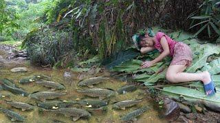 Homeless Life - Orphan Girl Finds and Catches Fish To Sell - Green Forest Survival, Free Bushcraft