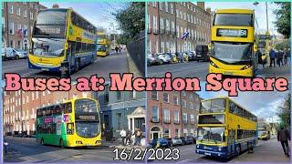 Buses at: Merrion Square (16/2/2023)