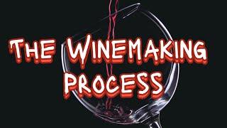 The Winemaking Process