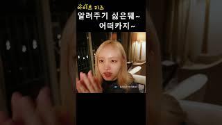 [아이브 리즈] 알려주기 싫은뒈~ 어떠카지~ (팬들 놀리는 리즈)