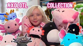 My Insane AXOLOTL COLLECTION