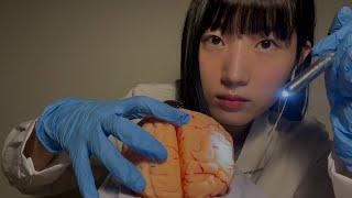 ASMR Cranial Nerve Exam & Plucking Negative Energy