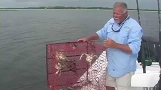 Do you want to catch some blue crabs on the Coast of Georgia? Capt. Mark Noble's Crabbing Tips