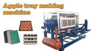 Great performance of apple tray making machine! Fruit tray molding machine