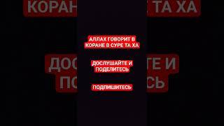 АЛЛАХ ГОВОРИТ В КОРАНЕ В СУРЕ ТА ХА | #quran #религия #islam