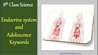 Endocrine System and Adolescence || Keywords || 8th Class Science || Science Dictionary | Definition