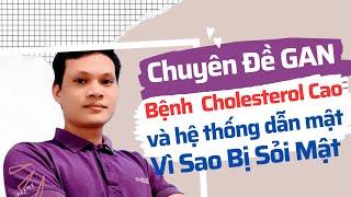 Thấu hiểu bệnh về cholesterol cao và hệ thống dẫn mật