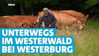 Einfach kann jeder – Der Westerwald rund um Westerburg