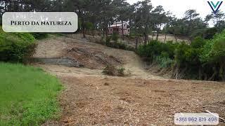 Ruina em Colares com 4520 m2 terreno