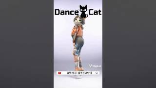 이쁘고 귀엽게 춤추는 고양이 Dance Cat