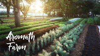 AMAZING Small Farm in France Under TREES! // Aromath Farm