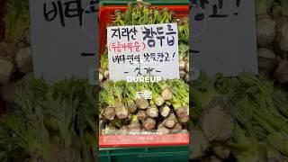 봄 제철채소 두릅 Dureup