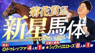 【菊花賞 2024】昨年◎ドゥレッツァ4人気1着！得意の長距離ＧⅠで適性ピカイチの人気薄を狙い撃ち！馬体診断・フォトパドック【競馬予想】