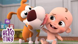 My Dog Song - Nursery Rhymes - Baby Songs