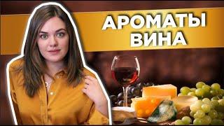 Классификация винных ароматов | Ноты вина