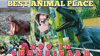 Best Animal Place , Zoo In Chandigarh , Dinosaur , Tiger , zoo Chandigarh Ticket price ,