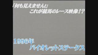 １９９６年　バイオレットステークス