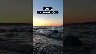 Звуки Онего #shorts #природа #карелия