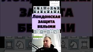 Лондонская система !! #chess #шашкипогороду #chesspodcast #puzzle #lichesstitledarena #стрим #каша