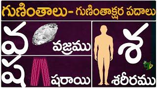 Guninthalu Guninthakshara Padalu | వ శ ష గుణింత పదాలు |Va Sa Sha Gunintha Padalu |Telugu Vanam