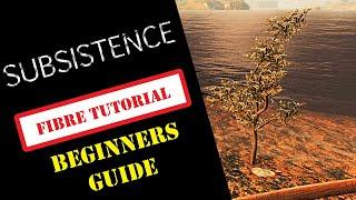 SUBSISTENCE COMPLETE BEGINNERS GUIDE | HOW TO FIND FIBRE | Tutorial / Guide / Tips & Tricks