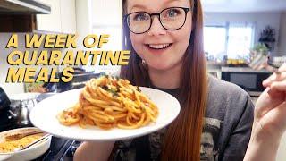 a *realistic* week of quarantine meals | vegetarian