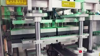 BPT-Y-20/30 Full Automatic Termoform Packing Machine