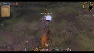 Lotro Red Guardian solo vs Shadowy Wraith