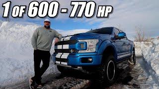 Full tour and cost of my new Shelby F150