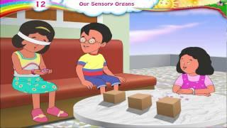 Sensory Organs For Kids | Sensory Organs And Their Functions | Five 5 Senses | Science | Grade 3