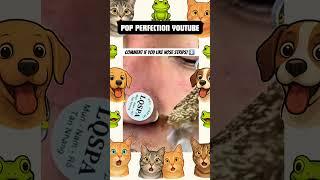 Wow! #pimplepopping #pimple #pimples #youtubeshorts #youtube #shortsfeed #shortvideo #shorts #short