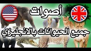 اسماء الحيوانات بالانجليزي و اصوات الحيوانات | تعليم الاطفال النطق