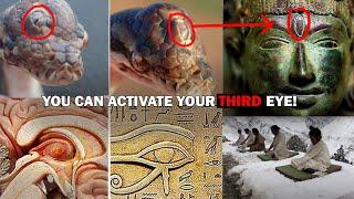 Can You Activate Your Third Eye? The Reality of This Force Lies in Our DNA