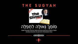 The Sugyah 19 - Year 2 - Shiur 3