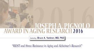 "REST and Stress Resistance in Aging and Alzheimer's Research"