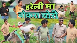 हरेली म बोकरा चोरी CG Comedy Video, ढोल ढोल कॉमेडी वीडियो,Pinky Sahu,Kariya,Duje Nishad,Raju sahu