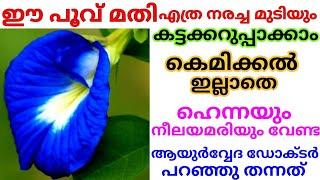 ശംഖുപുഷ്പവും ഈ പൊടികളും ഉണ്ടെങ്കിൽ എത്ര നരച്ച മുടിയും ഒറ്റയൂസിൽ കറുപ്പിക്കാം||Natural Hair Dye