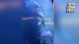 WATCH: Scary moment mermaid's tail gets caught on reef