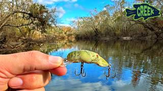 South Georgia River Adventure