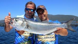 Recai Dönmez İle Bodrum'da Kofana Keyfi / Monster Bluefish Fishing