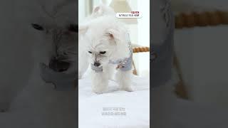 탑베딩 신제품 사계절용 누빔매트리스커버, 공영홈쇼핑 라이브 6/18(수) 론칭