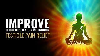 Testicle Pain Relief | Improve Blood Circulation in Testicles | Enhance Your Testicles Health