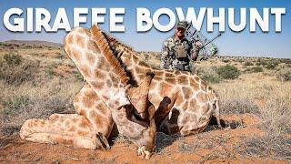 71 yard Archery Shot On a giraffe W/ A BEAST BROADHEAD