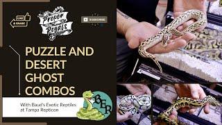 PUZZLE and Desert Ghost Ball Python Combos! w/ Jeremy Baud